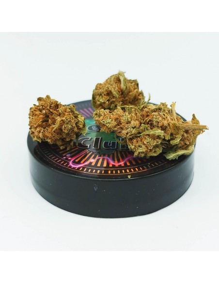 Calidream sb Calidream sb