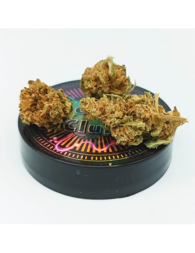 Calidream sb 2 Calidream sb 2