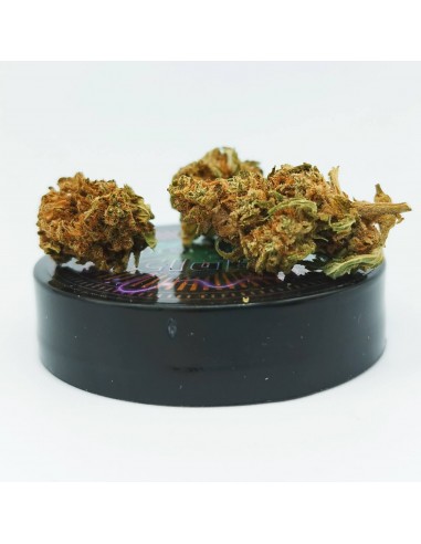 Calidream sb 3 Calidream sb 3