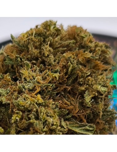candy kush cbd 4