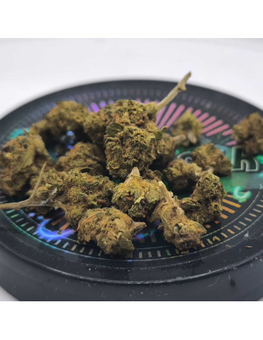 Harlequin cbd microbuds 3