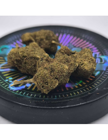 Cheese microbuds CBD 2