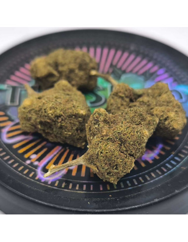 Cheese microbuds CBD 3