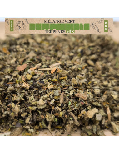 Lot de Substitut de tabac - Booster Terpenes - nuit paisible