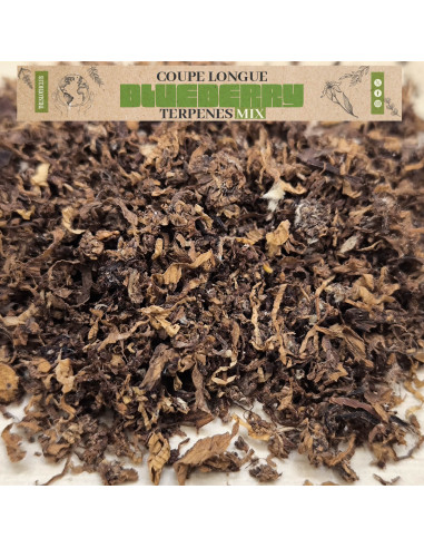 paquet de Substitut de tabac - terpenes booster - Blueberry paquet de Substitut de tabac - terpenes booster - Blueberry