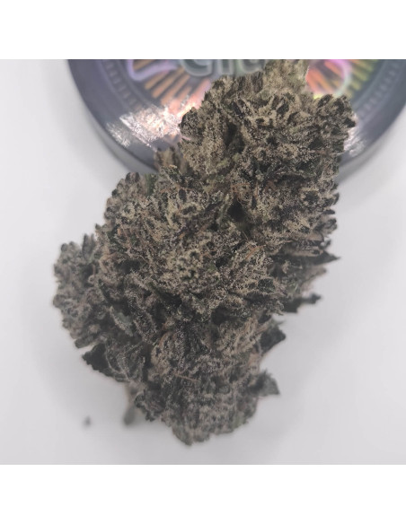 Blue Cheese BIG CBD Indoor zoom