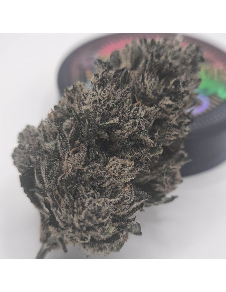 Blue Cheese BIG CBD Indoor ext