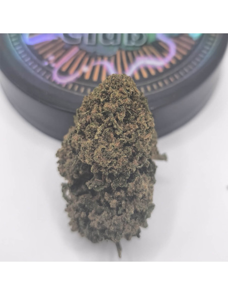 Cannapunch CBD BIG Indoor side